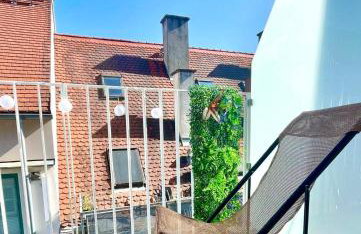 Altstadt INsel - workaction - free parking - Audi - Balkon - Aufzug - Photo 21