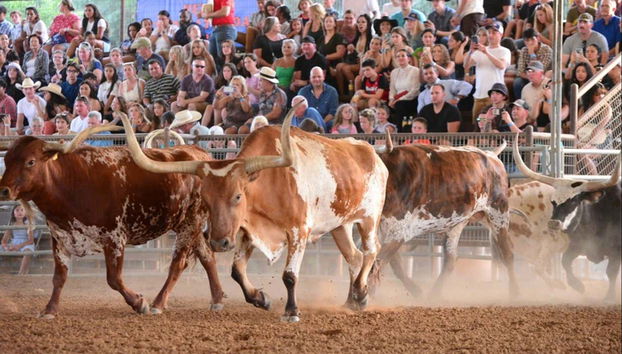 Live the best of the wild west