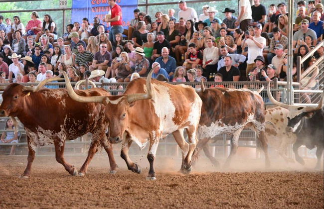 Biglietti per un rodeo in Texas - Foto 5
