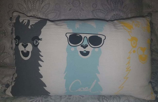 Neds Brae House - Photo 12