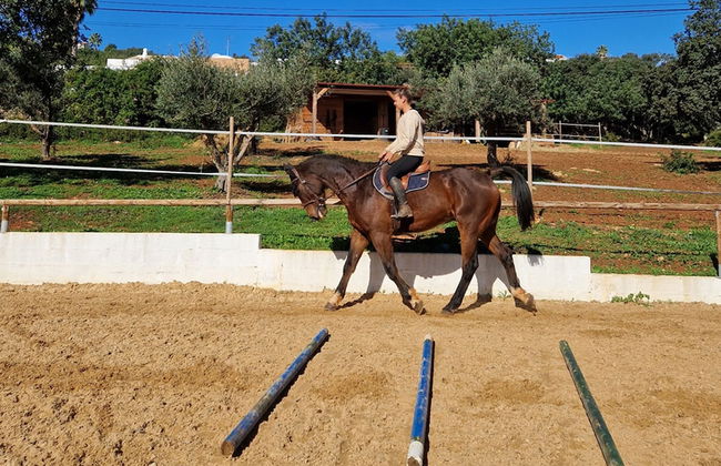 Tiny House Loulé Algarve no1 - Foto 18