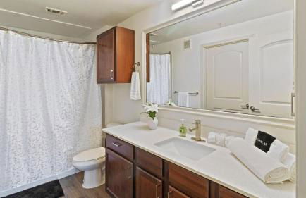 Stunning 1bd Apartment I Frisco near Dallas I Pool, Gym, Work Space - Foto 10