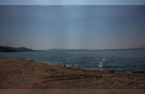 Medusa Gorgon - Photo 13