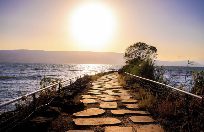 Mia Glamping Kinneret - Foto 22