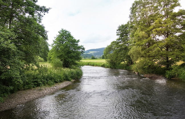Ferienhaus in Hessen mit Grossem Garten - Foto 38