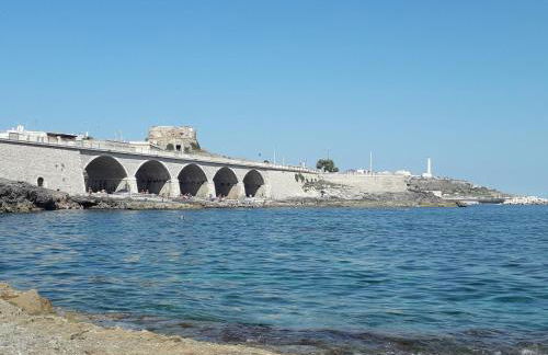 Star house - Foto 22