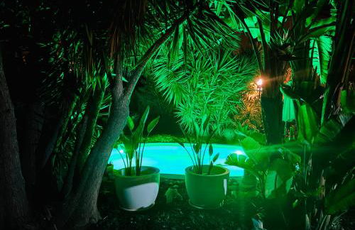 Casita Limón Andratx - Foto 42