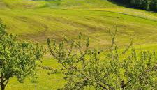 Maria Schnitzenbaumer - Foto 3