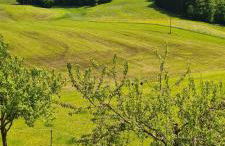 Maria Schnitzenbaumer - Foto 3