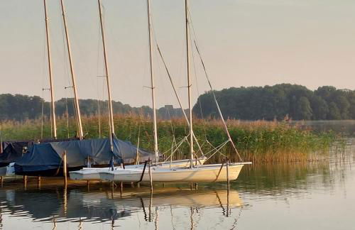 Holiday Home Vogelsang - Photo 49