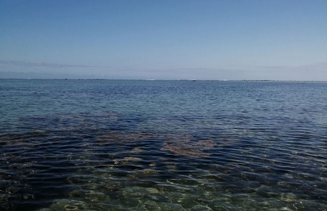 Blue West Villas - Photo 47