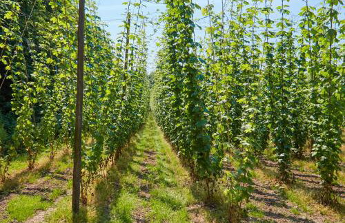 The Challoners - Photo 37