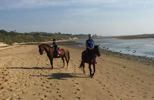 Altos de Finestrat - Foto 35