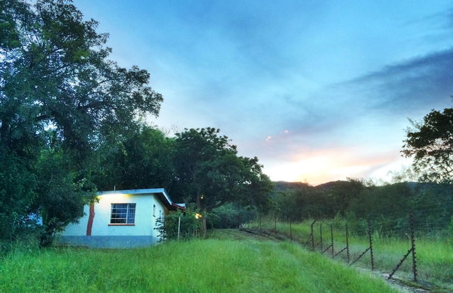 Near2Numbi - Foto 74