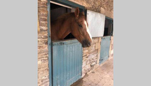 Rhubarb Cottage - Foto 3