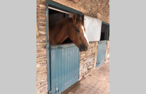 Rhubarb Cottage - Foto 3