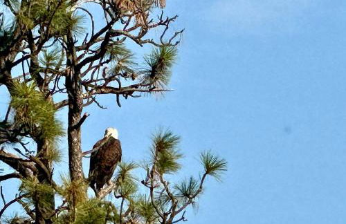 Eagle View Escape - Private Lakefront Estate - Foto 6