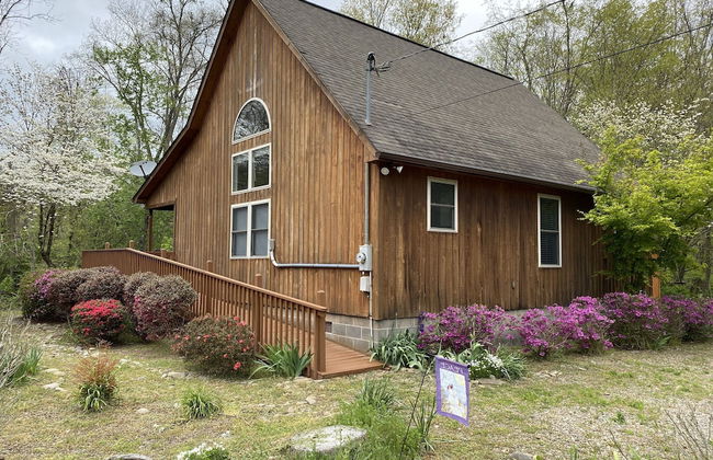 Gray's Place on Cosby Creek - 2 Bedrooms, 2 Baths, Sleeps 6 Home by RedAwning - Foto 14