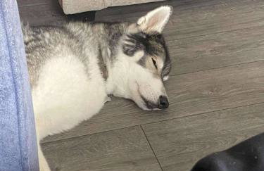 Room with a view - Foto 44