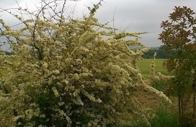 Agriturismo Bassarì - Photo 36