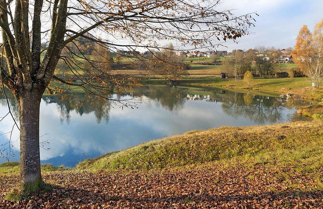 Apartment in Neuschonau Near Tree Tower - Photo 25