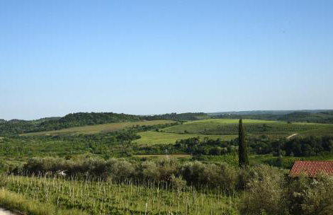 Villa Sofia - Foto 3