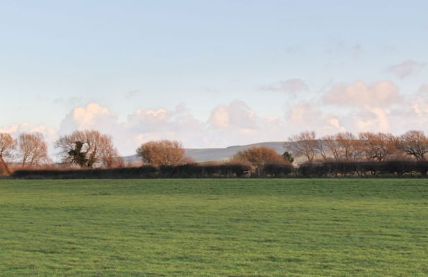 Marshlands Annexe - Photo 16