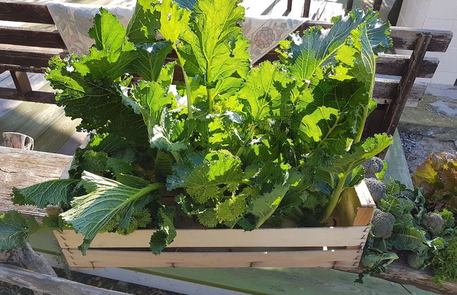 Le Radici Casa Vacanze - Foto 41