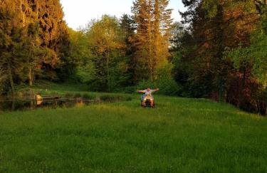 Im Baumhaus - Foto 12