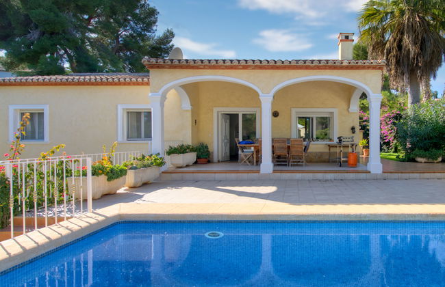 Eucaliptus - Foto 25