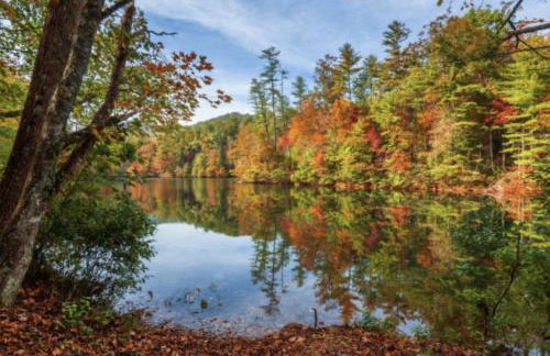 Bear's Mountaintop Home with Gorgeous Lake Views chalet - Foto 37