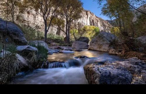 River Haven - Hayden Near the River - Photo 21