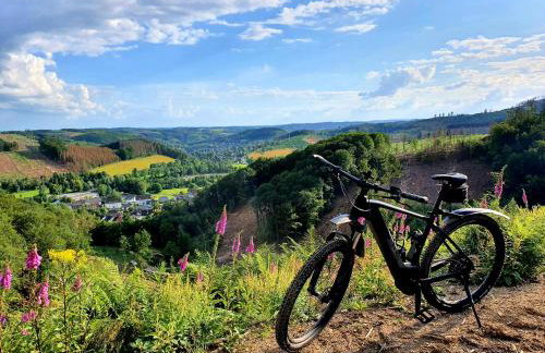Natur-Design "Platzhirsch Sauerland" - Sauna, Kamin, Balkon, Garten, Hütte, Grill - Foto 64