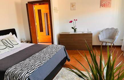 Dina’s Flower House - Foto 20