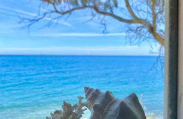 Casello 79 Rais - Foto 5