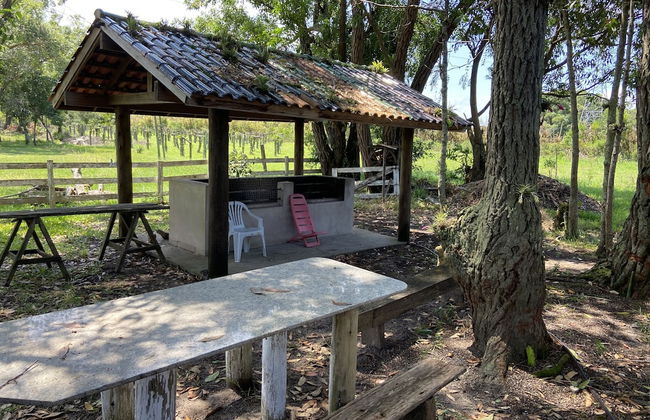 Haras Trevo de Ferro - Photo 19