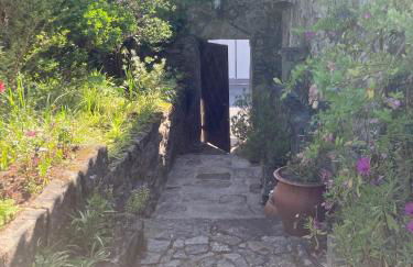 Maison traditionnelle Areosa - Foto 10