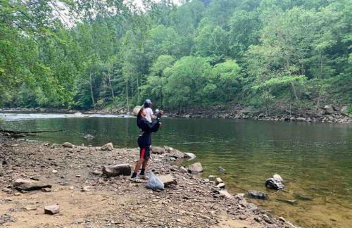 Streamside ShinyTiny Airstream in the Smokies - Foto 16