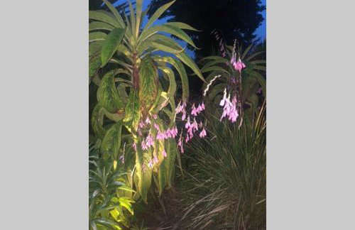 The Pink Cottage upstairs suite & Garden Summer Room - Foto 54