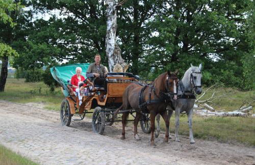 Ferienhof Heins - Foto 34