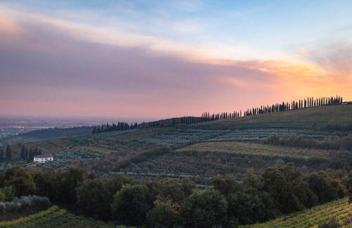 Agriturismo Ai Dossi - Foto 19