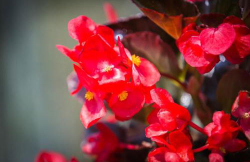 Appartamento Alvavista2 - Foto 23