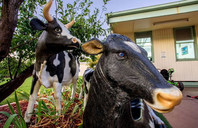 Big4 Shepparton Park Lane - Foto 1