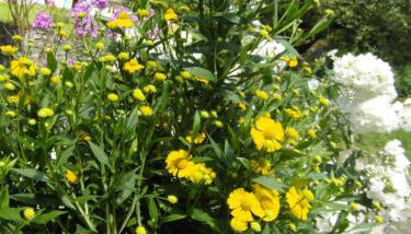 Haus Sonnenruh - Foto 5