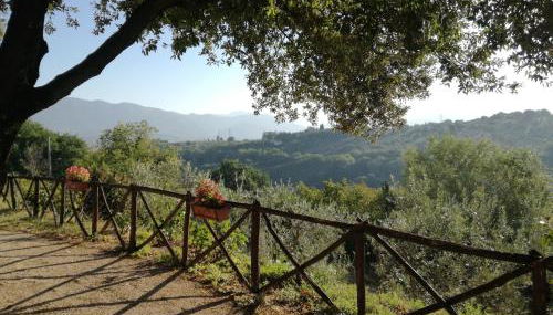 Le Storie di Bambu - Foto 4