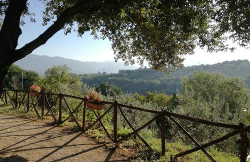 Le Storie di Bambu - Foto 4