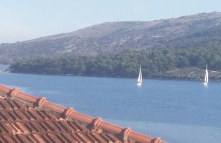 Villa Marija - Photo 3