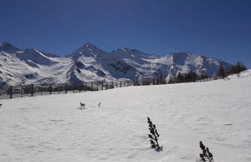 Appartament Anna 4 - Foto 18