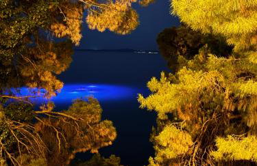 APARTMENT DoEL-parking , 2 minutes to the beach - Foto 7