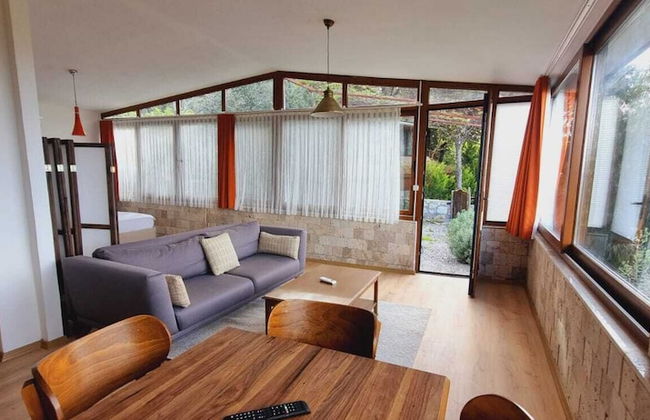 Sole Foca ( Ages 12+ ) - Foto 28